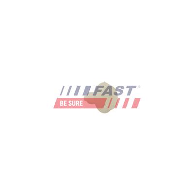 FAST Spreizniet FT96311 für CHEVROLET Fiat Iveco