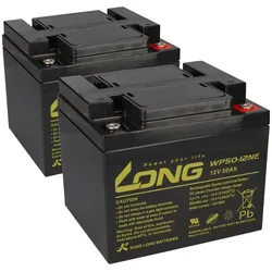 Akku-Satz 24V 50Ah mit 2x Kung Long WP50-12NE für Dietz Bechle Varga 6 und 10
