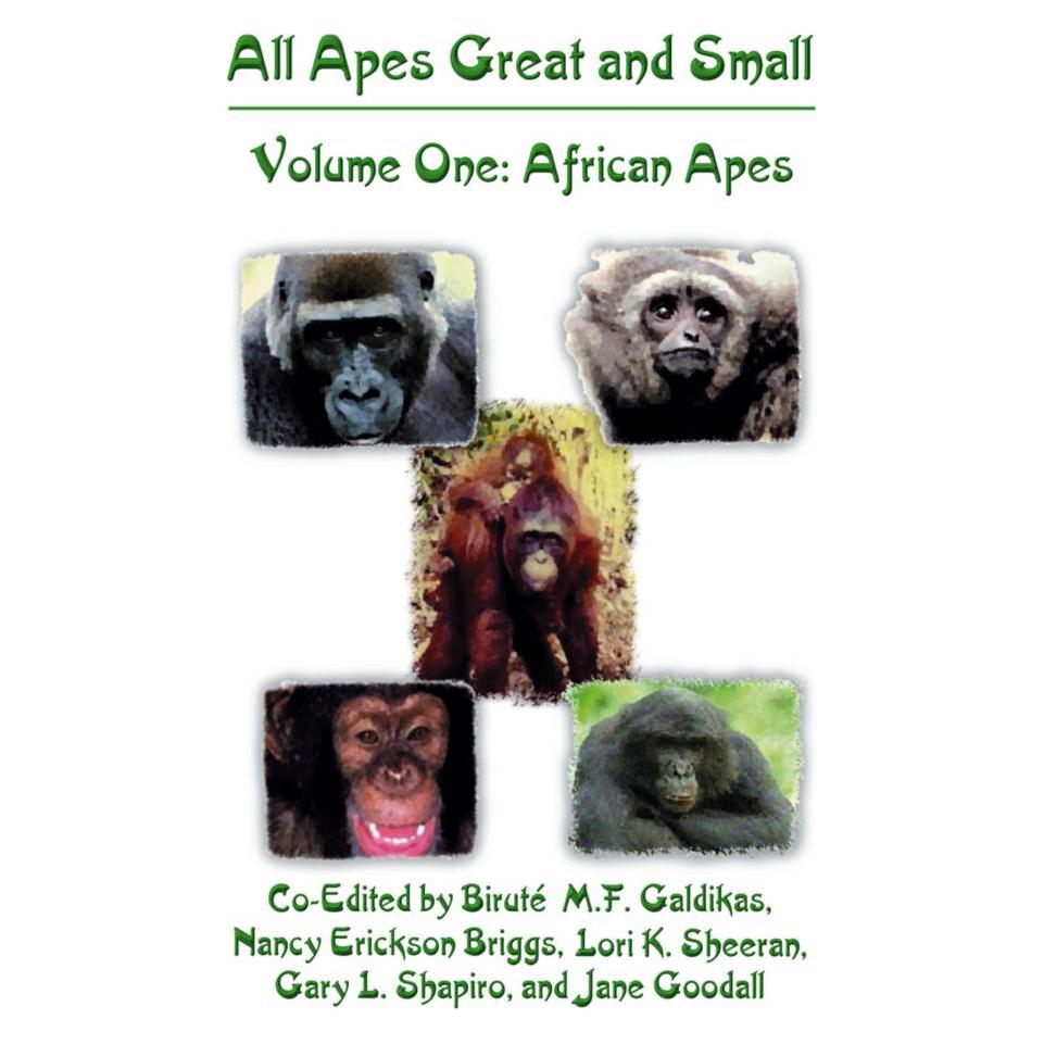 Springer All Apes Great and Small (Englisch, Softcover, Biruté M.F. Galdikas, Gary L. Shapiro, Jane Goodall, Lori K. Sheeran, Nancy Erickson Briggs) (55530499)