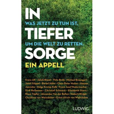 In tiefer Sorge, Gebundene Ausgabe von , Ludwig, 978-3-453-28155-4