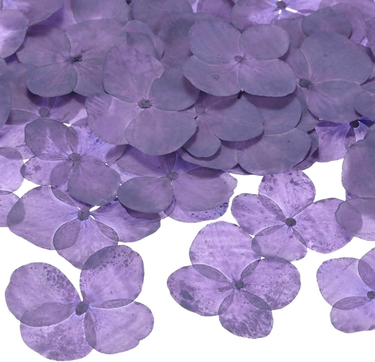 12 Pack Gedroogde Persbloemen voor Hars, Ambachten, Zeep en Scrapbooking
