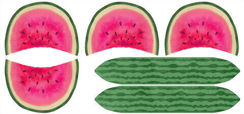 Canvas-Coupon "Wassermelone", rosa-color