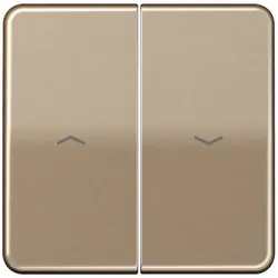 Jung Wippe Symbole gold brz CD 595 P GB