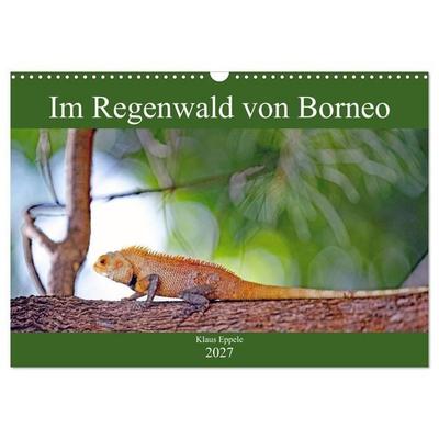 Im Regenwald von Borneo (Wandkalender 2027 DIN A3 quer), CALVENDO Monatskalender