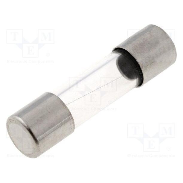 ESKA 520621, Feinsicherung 5x20mm, flink, F 2,5 A, 10 Stück (2.50 A) (520621)