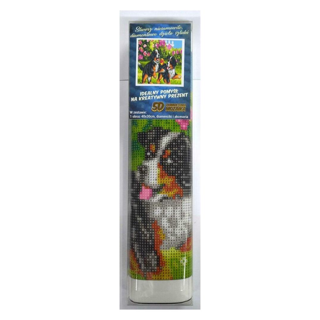 Norimpex Diamant Malerei Verspielte Welpen 30x40cm (1006963)