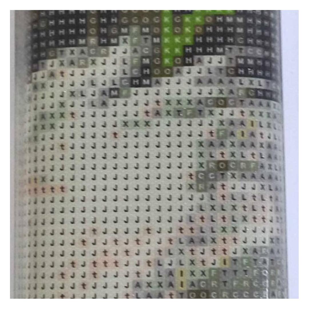 Norimpex Diamantmosaik - Schwäne im Schilf (NO-1008304)