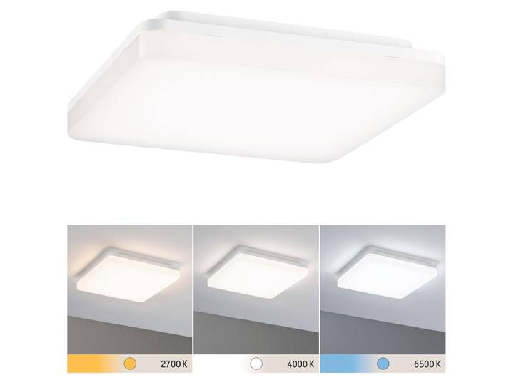 Paulmann LED Panel Cela