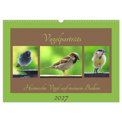 Vogelporträts - Heimische Vögel auf meinem Balkon (Wandkalender 2027 DIN A3 quer), CALVENDO Monatskalender