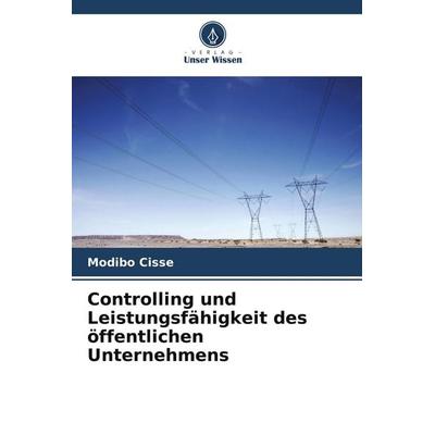 Controlling und Leistungsfähigkeit des öffentlichen Unternehmens, Taschenbuch von Modibo Cissé, Verlag Unser Wissen