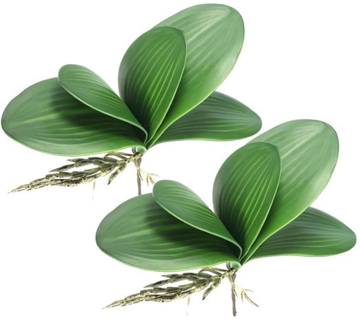 Set van 2 groene kunstorchideeënbladeren van kunststof