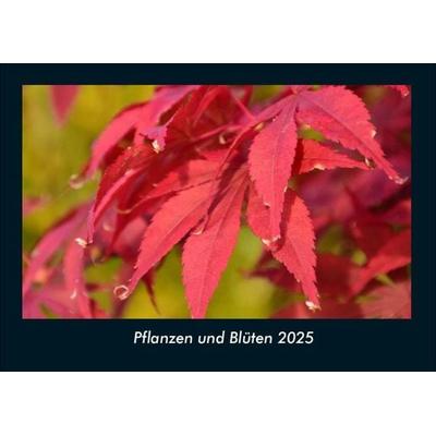 Pflanzen und Blüten 2025 Fotokalender DIN A4