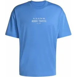 ADIDAS Herren Shirt CLIMACOOL TECH TRAINING GRAFIK, Größe S in Blau Blau