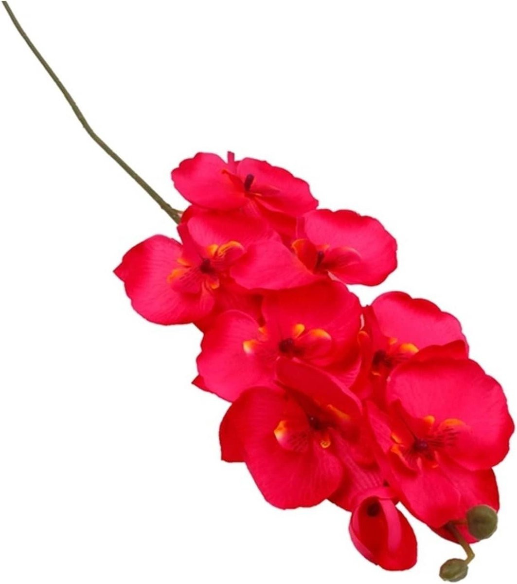 Kunst Orchidee Boeket Zijden Vlinder Orchidee - Realistisch Uiterlijk - 67 cm - C