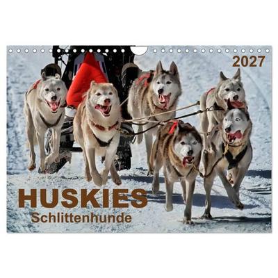 Huskies - Schlittenhunde (Wandkalender 2027 DIN A4 quer), CALVENDO Monatskalender