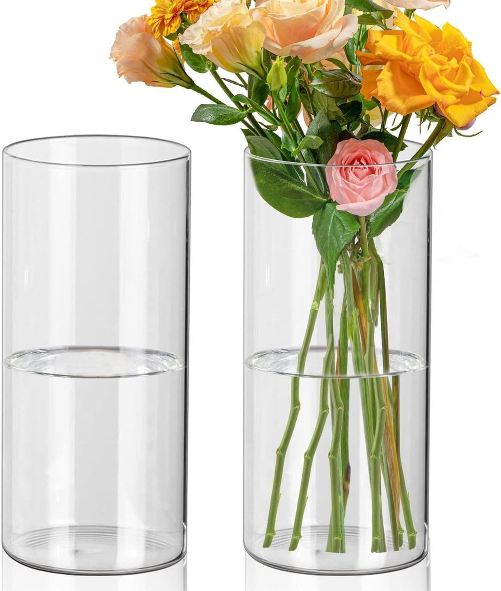 Glazen cilinder vaas voor bloemen en decoratie, Hoogte: 20 cm