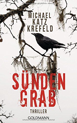Michael Katz Krefeld - Sündengrab: Thriller - Ein Fall für Ravn 3 - Preis vom 09.10.2026 07:28:09 h
