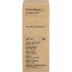 Schwarze Johannisbeere Extrakt Tropfen Alkoholfrei 100 ML
