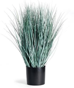 Porch & Petal "Blue Oat Grass Drop-In 32"" - Green"