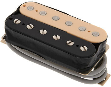 Gibson P-498T Zebra Zebra