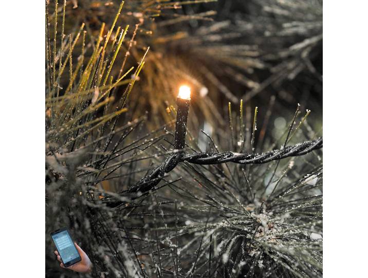 Konstsmide Christmas Über App schaltbare LED-Außen-Lichterkette Micro Micro, dimmbar, schwarz, Kunststoff