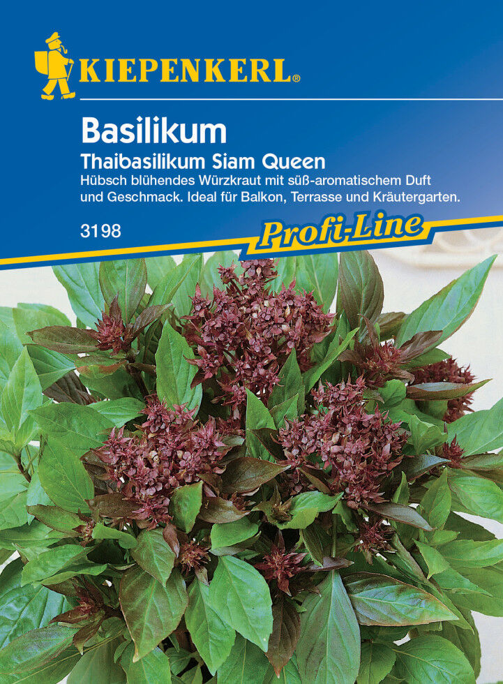 Kiepenkerl Thaibasilikum Siam Queen