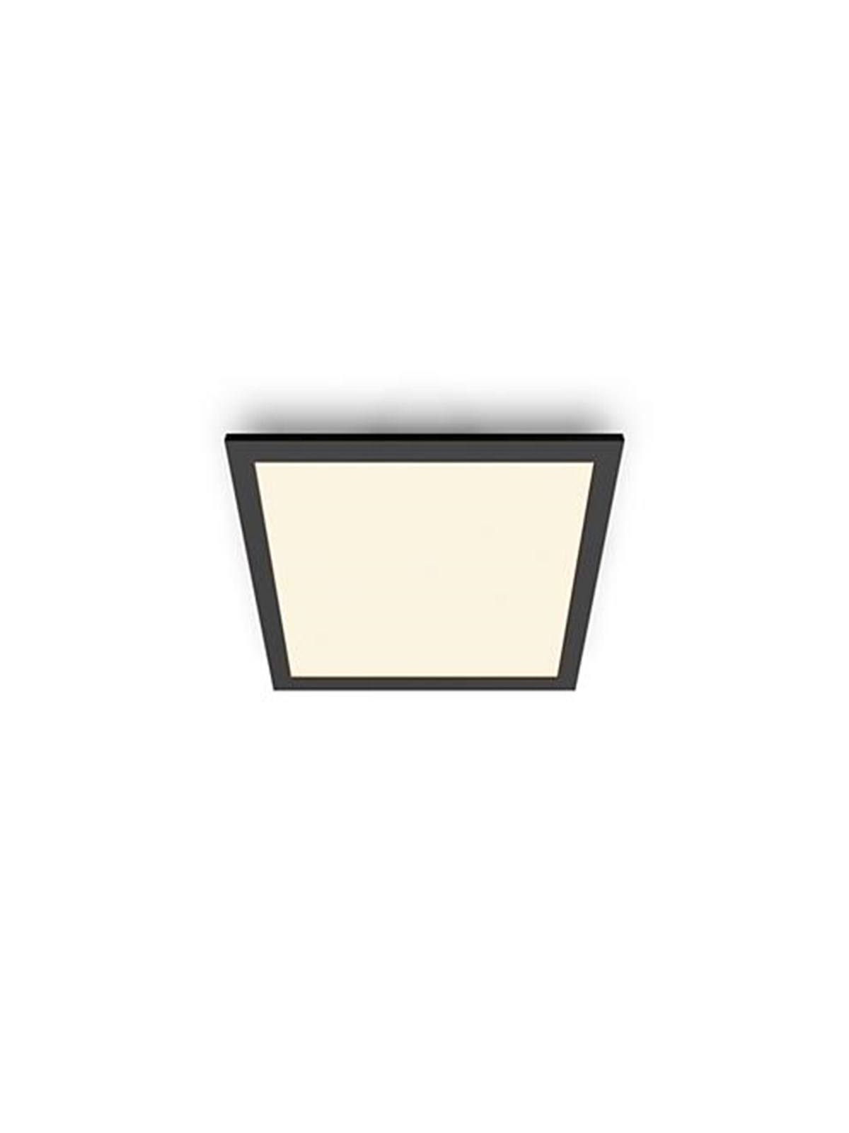 Philips Panel ceiling CL560 SS SQ 12W 27K B HV06