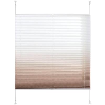 Plissee LIEDECO "Farbverlauf, ohne Bohren, verspannt" Gr. 10, braun (kaffee), B:110cm H:130cm, Obermaterial: 100% Polyester, Plissees