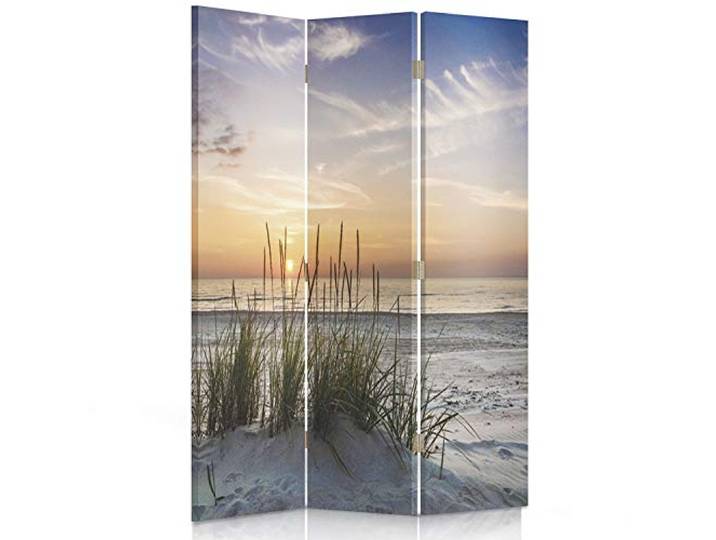 Feeby Paravent Landschaft Grass Strand Wasser 110x150 cm 3 Teilig Modern Design einseitig Wandschirme Foto Trennwand Raumtrenner Sichtschutz Spanische Wand auf Leinwand Bedruckt Meer Sand Himmel