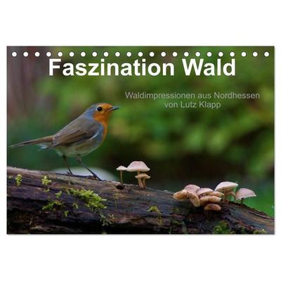 Faszination Wald. Waldimpressionen aus Nordhessen von Lutz Klapp (Tischkalender 2027 DIN A5 quer), CALVENDO Monatskalender
