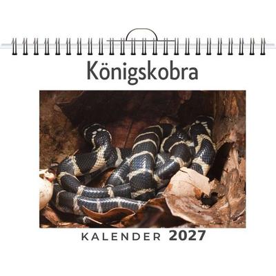 Königskobra