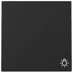 Gira Wippe Symb. Licht 3285005