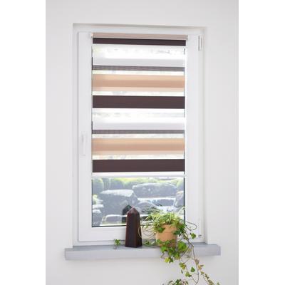 Doppelrollo LIEDECO "dreifarbig" Gr. 6, braun (braun, beige), B:120cm H:160cm, Polyester, Rollos