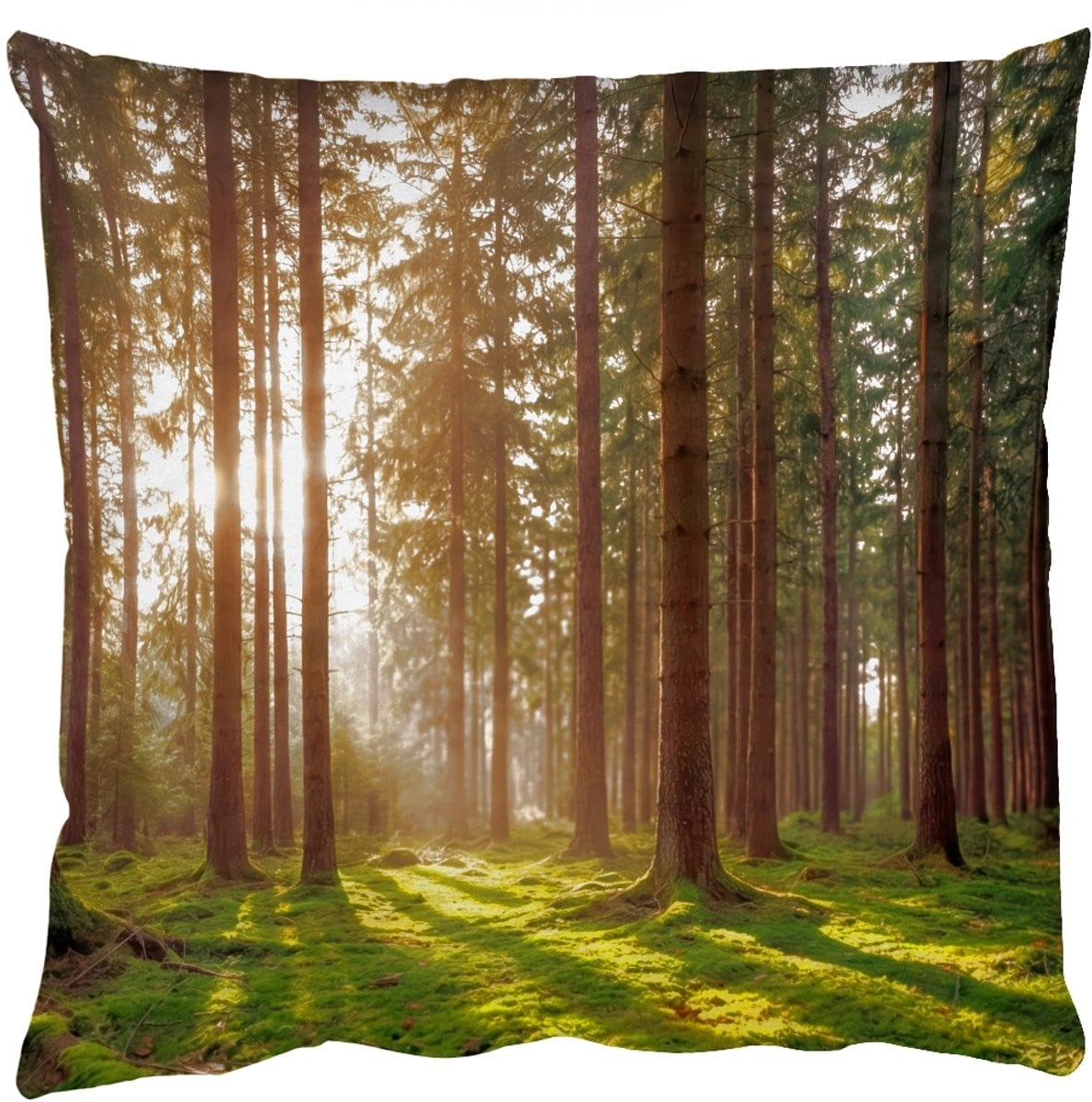 Sierkussen Bos Gras Zonlicht 50x50 cm