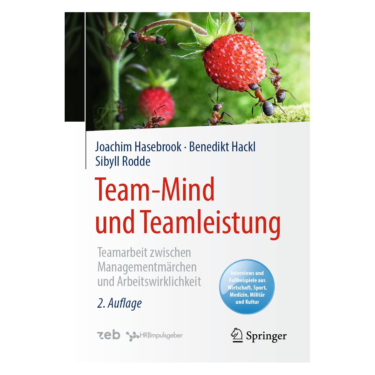 Springer Team-Mind und Teamleistung (Deutsch, Softcover, Benedikt Hackl, Joachim Hasebrook, Sibyll Rodde) (41807293)