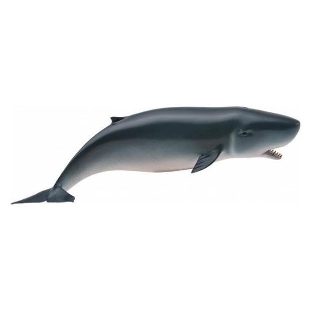 Collecta Junger Pottwal (41946690)