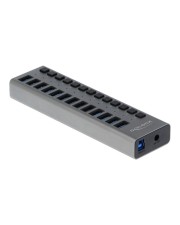 Delock Externer SuperSpeed USB Hub mit 13 Ports+ Schalter Digital/Daten (63738)