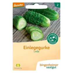 Bingenheimer Saatgut Einlegegurke Liefje demeter
