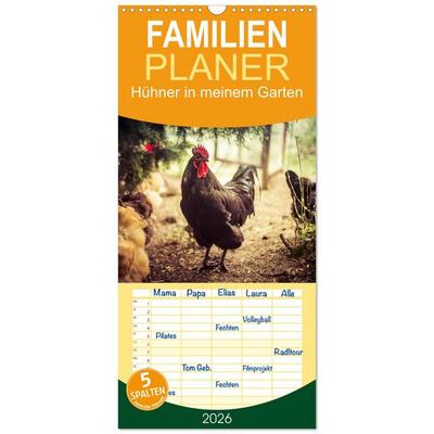 Familienplaner 2026 - Hühner in meinem Garten mit 5 Spalten (Wandkalender, 21 x 45 cm) CALVENDO