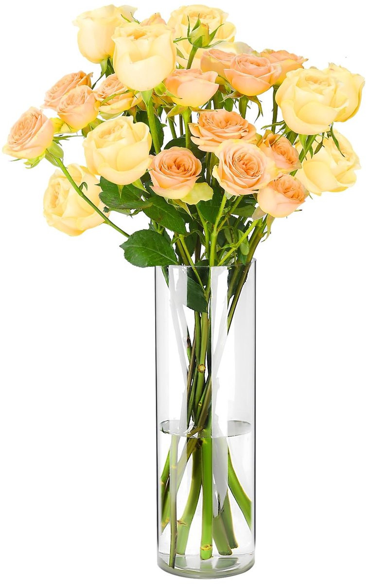 Omgoods Transparante Acryl Vaas - Lichtgewicht Moderne Decoratieve Vaas - Hoogte: 50 cm