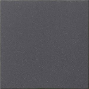 Gira Schalter-Wippe System 3000, 5360 28, für Lichtschalter und Jalousieschalter, anthrazit