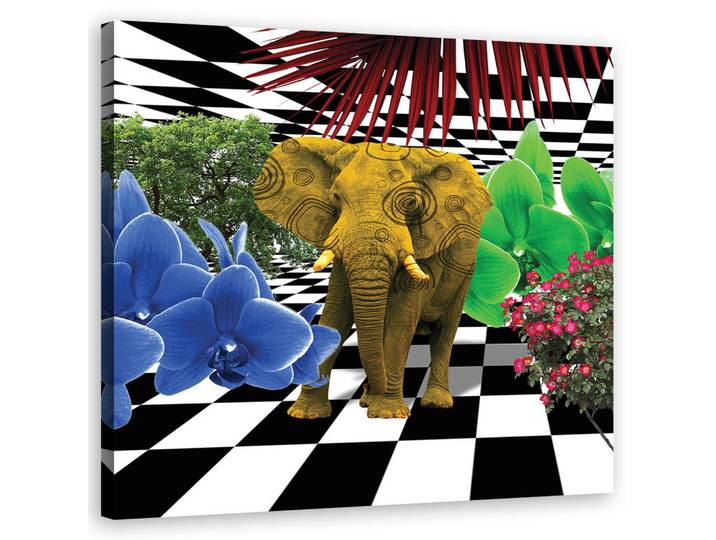 Feeby Wandbild buntes elefant, Mehrfarbig, Tiere, Rechteckig, 50x50 cm, Bilder & Rahmen, Bilder, Leinwandbilder