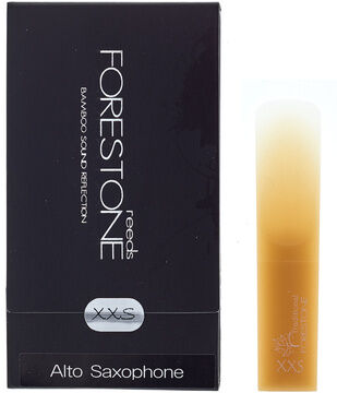 Forestone Alto Saxophone XXS