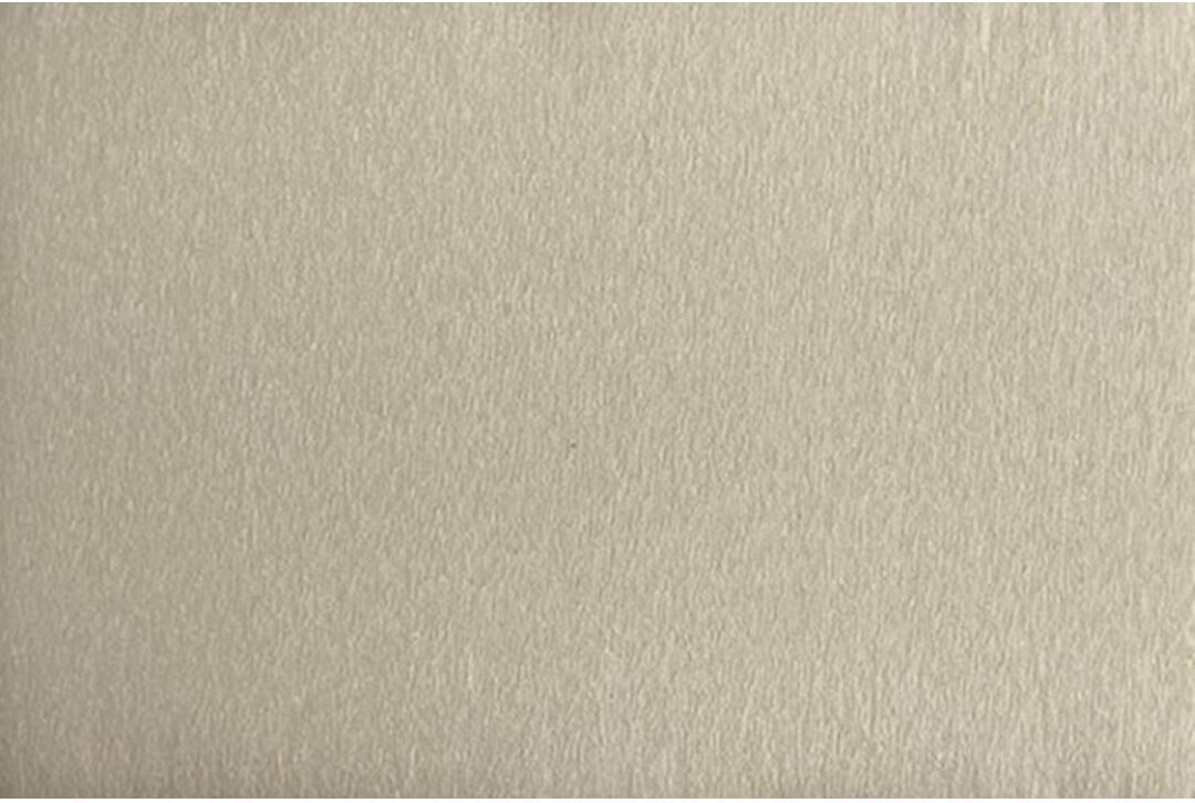17 Stories Eriana Upholstered Velvet Headboard Cream Single (3')
