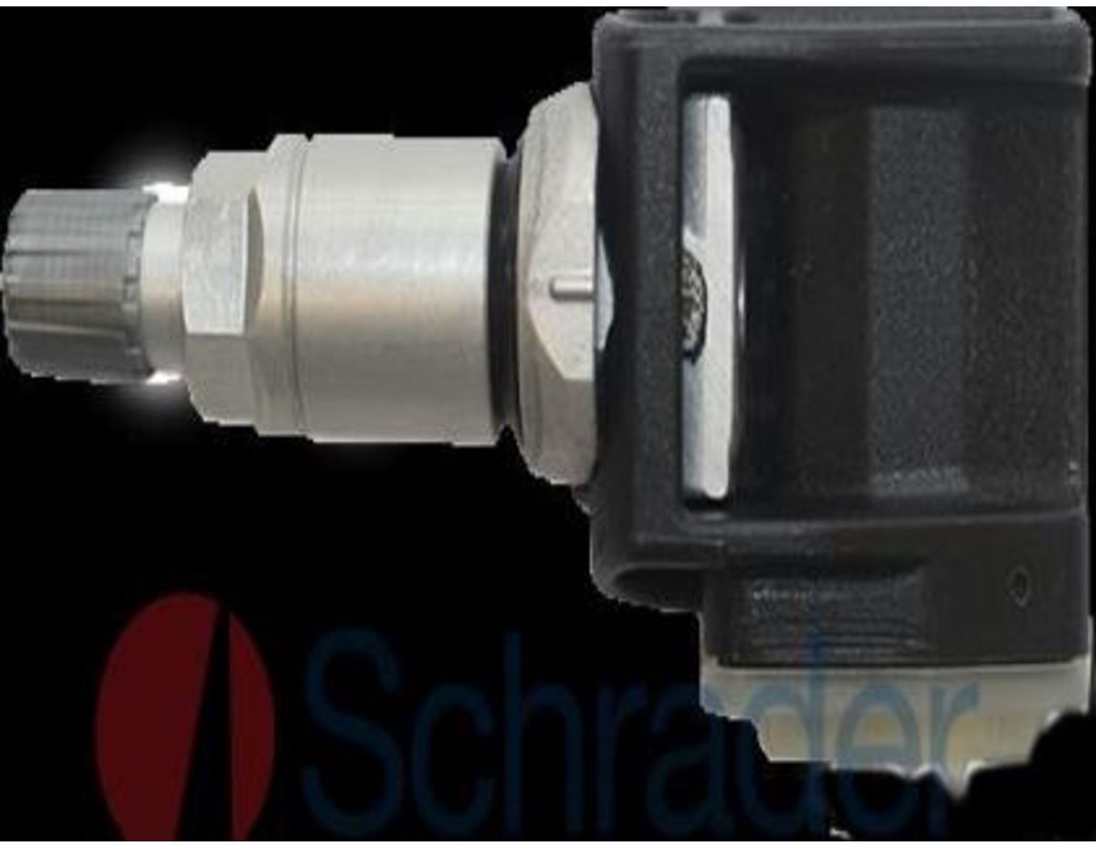 Radsensor, Reifendruck-Kontrollsystem SCHRADER 3108