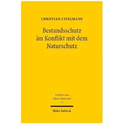 Uffelmann:Bestandsschutz im Konflikt mi, Fachbücher von Christian Uffelmann