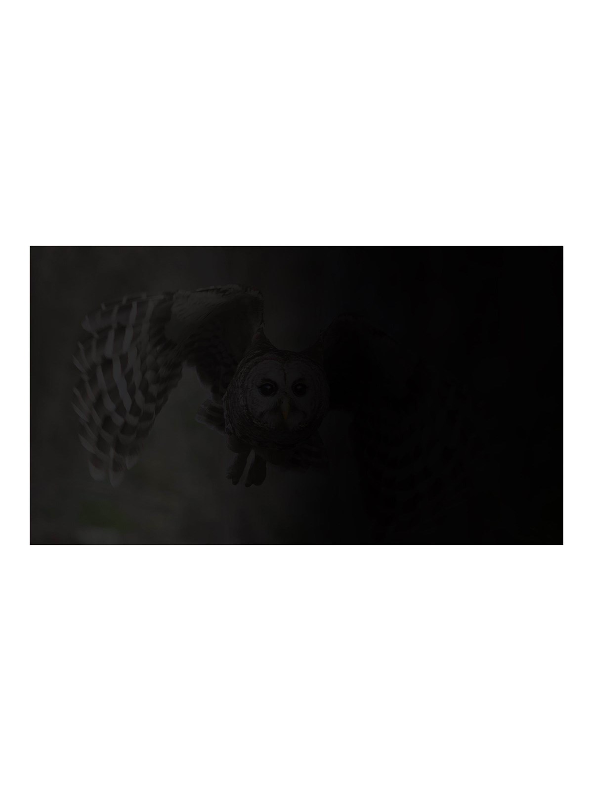Natec OWL notebook privacy filter