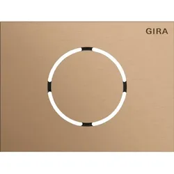 Gira Frontpl. Türstationsmodul 5579921
