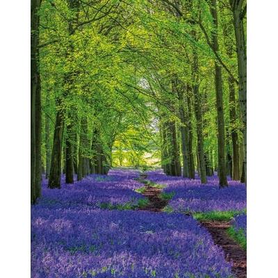 Bluebells, Gebundene Ausgabe von , Tushita PaperArt GmbH, 978-3-95929-766-0