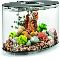 biOrb LOOP 15 LED schwarz